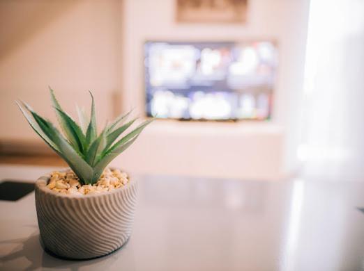 Apartman Aleksandar Lux Palić Buitenkant foto