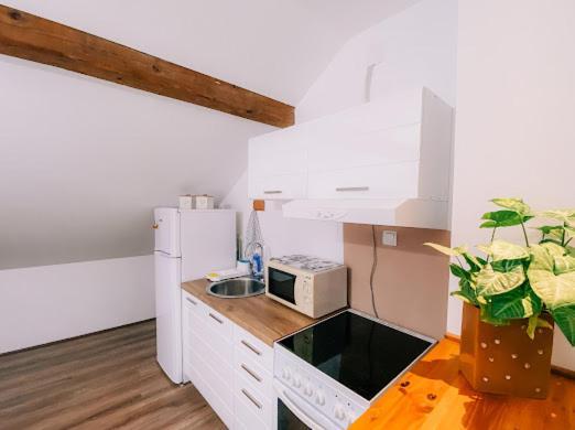 Apartman Aleksandar Lux Palić Buitenkant foto