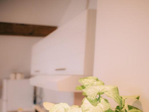 Apartman Aleksandar Lux Palić Buitenkant foto